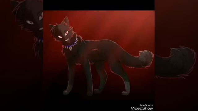 Коты воители/Бич смотреть онлайн