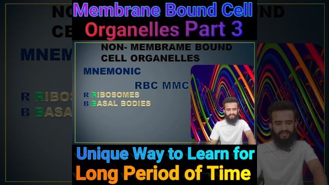 Unique Way to Learn Double Membranes of Cell Organelles #shorttricks #biology #mnemonics смотреть онлайн