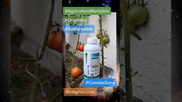 bioAgroo Agricultura Organica Rentable Sustentable. #bioAgroo #agricultura #agriculturaorganica смотреть онлайн