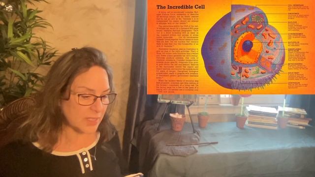 DIY Psychologist DAY 112 Evolution: What's the Process? Day 3 Dr. Annette Feravich, Teacher, HMBS смотреть онлайн