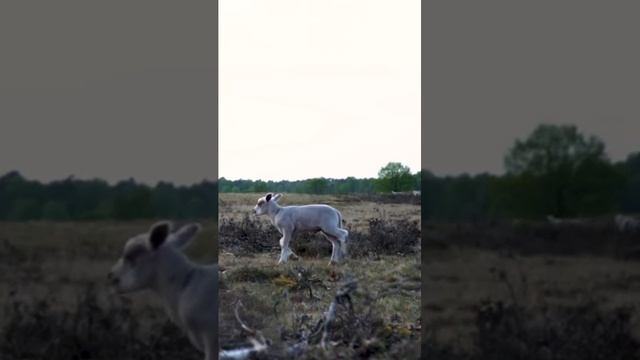 1205 1020849 mp3 смотреть онлайн
