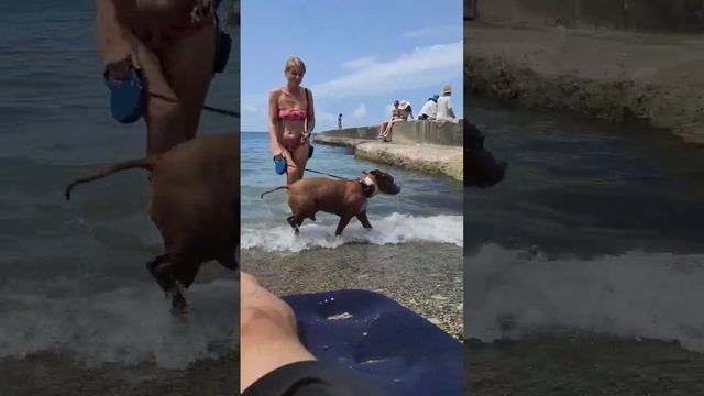 рэкс дедеркой смотреть онлайн