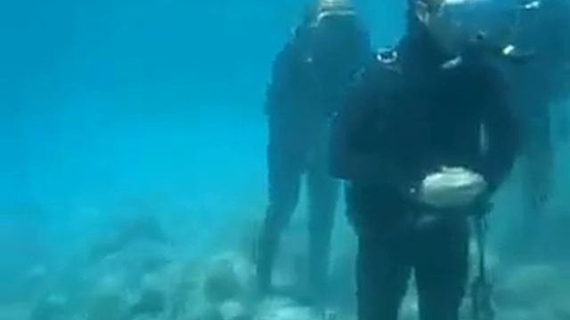 Dekhun Namaz panir nise aday korsen (Amin) смотреть онлайн