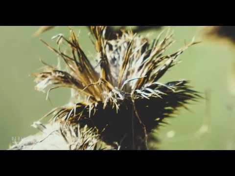 Dedication (first Master)4K смотреть онлайн