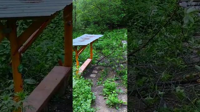 История печали и надежды: родничок 'Малыш" 7.06. 2024 г. смотреть онлайн