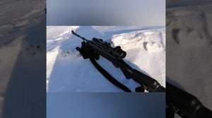 Охота с пневматикой на зайца