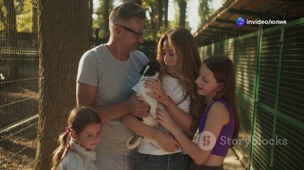 invideo-ai-1080 Приют для животных в Катунино_ Новодвинс 2024-11-22