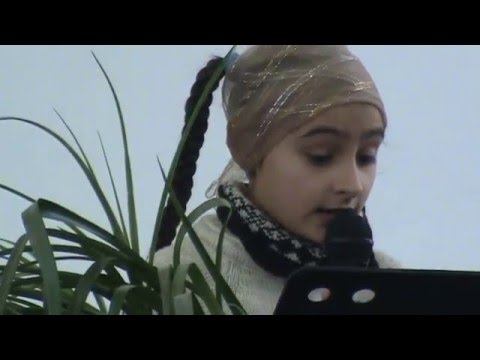 Ира Карапунарлы Баурчи-стих смотреть онлайн