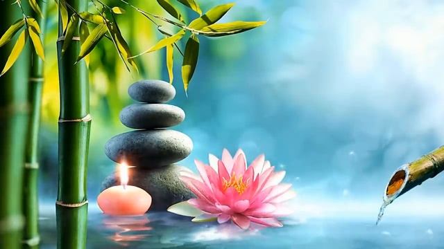 Listen To The Sound Of Nature Bamboo Water Fountain [Healing Music BGM]