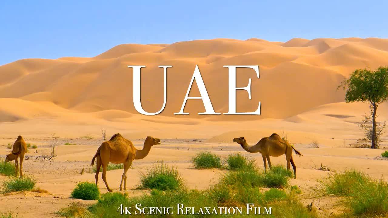 United Arab Emirates 4K - Scenic Relaxation With Calming Music смотреть онлайн