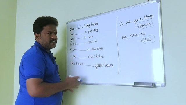 Have or Has || Beginner'sClass-2 ||Explanation in Tamil || Amazing English Wisdom смотреть онлайн