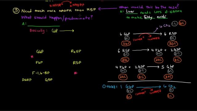 Pentose Phosphate Pathway (Part 3 of 5) - Control and Regulation (Details) смотреть онлайн