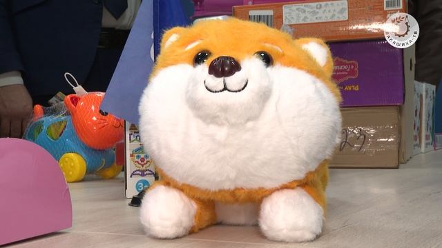 Благотворительная акция "Коробка Храбрости" смотреть онлайн