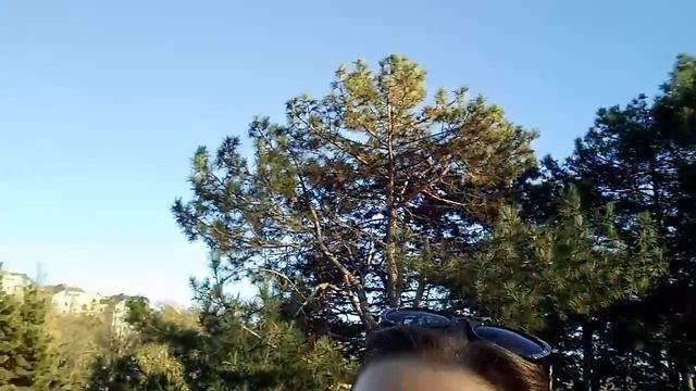 Будет Тебе Белка.. смотреть онлайн