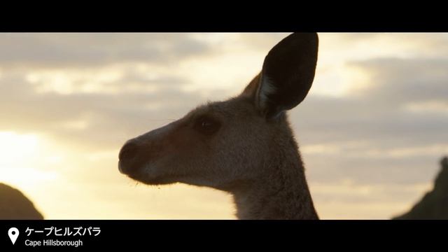 Sunset QLD (feat.Kecori & KAIKI) - 山下歩 смотреть онлайн