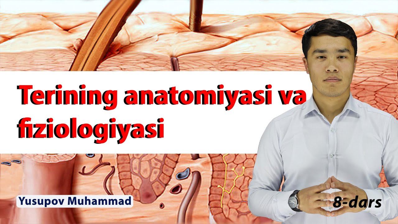 8-dars || Terining anatomiyasi va fiziologiyasi смотреть онлайн