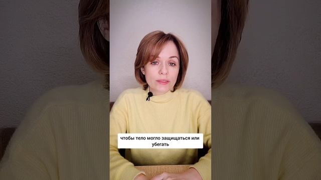 Почему при стрессе тянет на сладкое смотреть онлайн