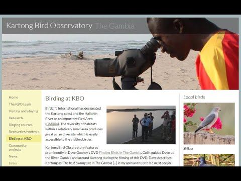 Kartong Bird Observatory - BDI Citizen Scientist Hour #12 - Dembo Jatta & Oliver Fox смотреть онлайн