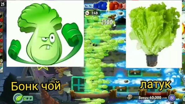 растения из PvZ VS реальной жизни смотреть онлайн