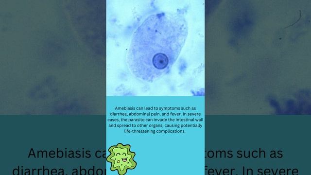 Entamoeba histolytica смотреть онлайн