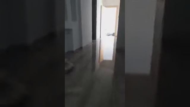 video 1602788449 смотреть онлайн