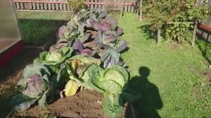 6 соток 21 сентября 2019 года