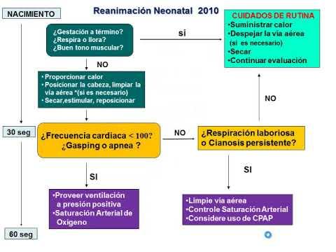 Tmmed pediatría - 4 5 смотреть онлайн