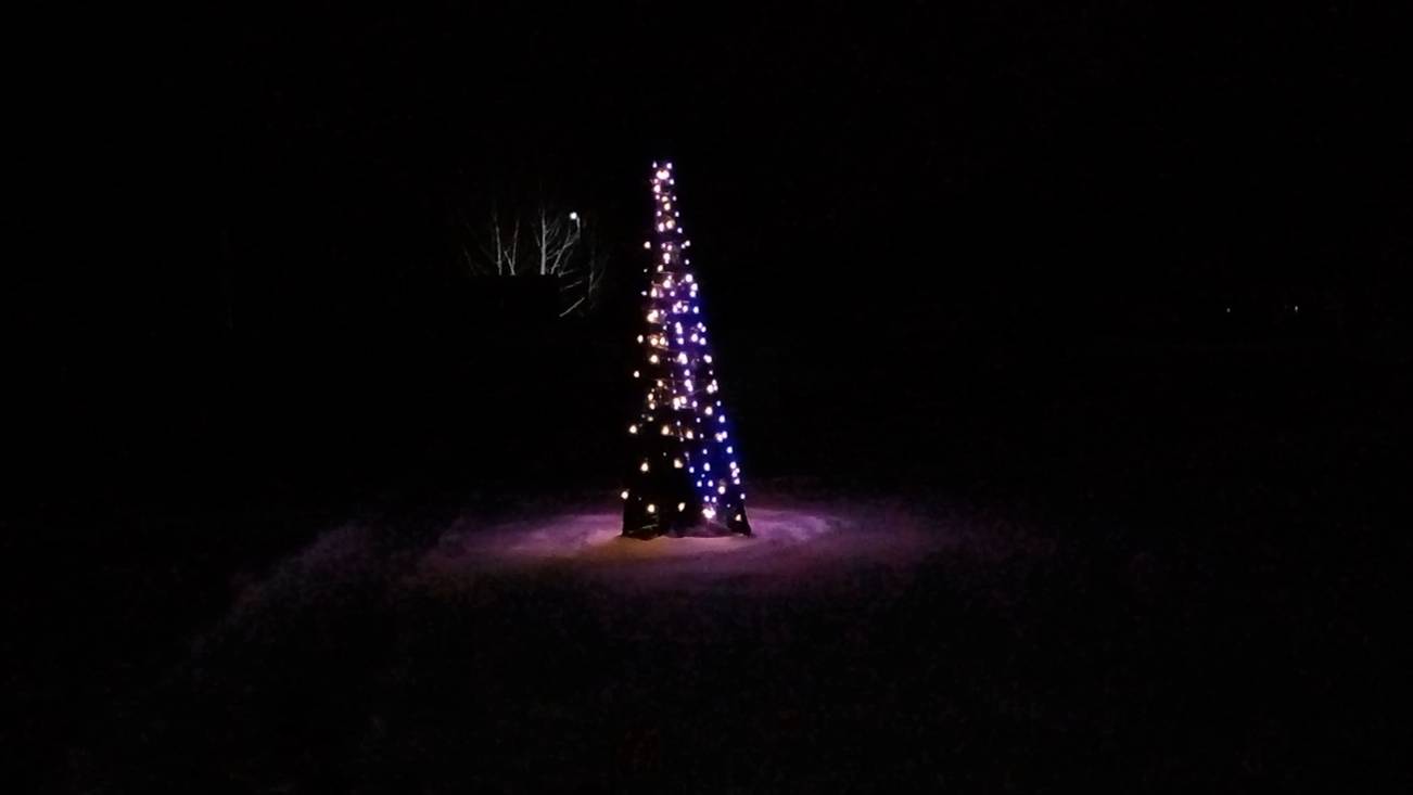 #36 Показала укрытые растения на зиму/ Готовлю участок к Новому году