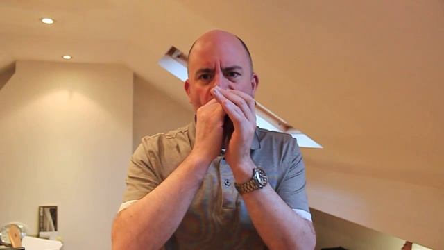 Harmonica Instrumental - Fresh Madalenes смотреть онлайн