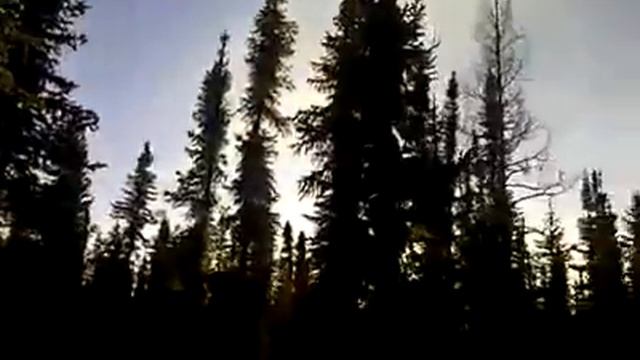 Странные звуки 2 смотреть онлайн