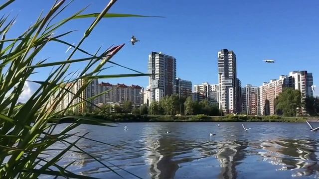 Легкость бытия