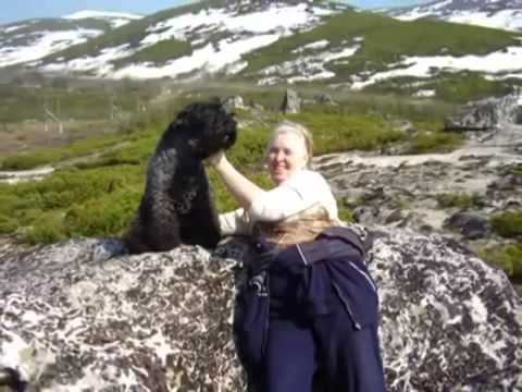 музыка смотреть онлайн