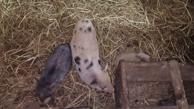 настало шабутное время смотреть онлайн