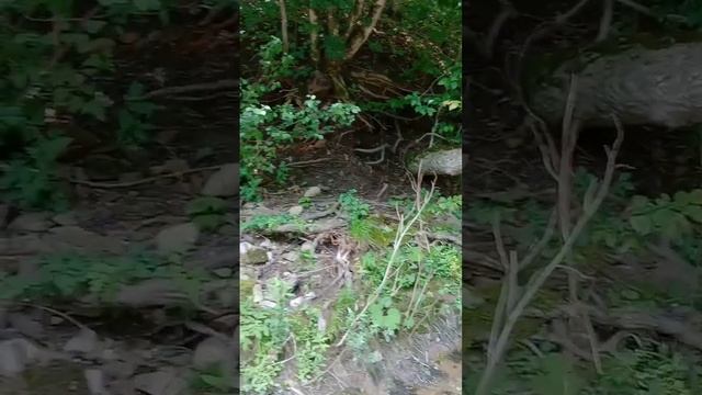 Красота Краснодарского края. Плов у реки. смотреть онлайн