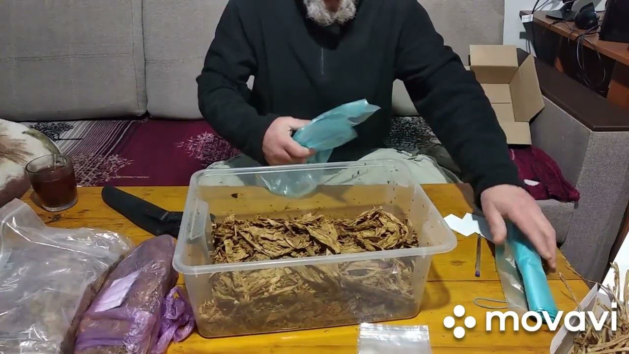 Собираю посылку с табаком и семенами в Краснодарский край, Кентукки берли, Боливиец,Тернопольский 1 смотреть онлайн
