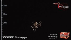 СП0810001 - День города