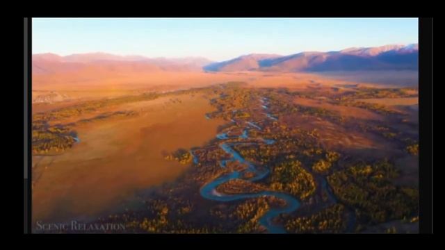 ХИТЫ 2024 Музыка 2024 песни 90-х годов русские ремиксы #shorts смотреть онлайн