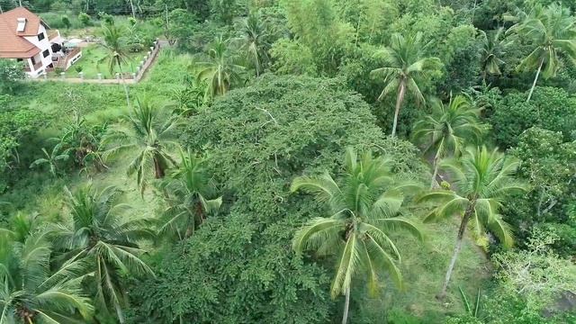 TIERRA MARIA ESTATES: BLOCK 15, LOTS 4 & 5 (House Building in the Philippines) смотреть онлайн