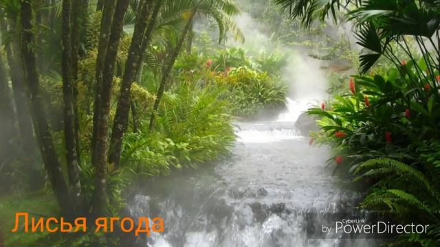 Теретория племени диково ветра смотреть онлайн
