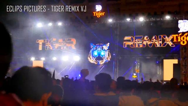Eclips Pictures - Tiger Remix VJ смотреть онлайн