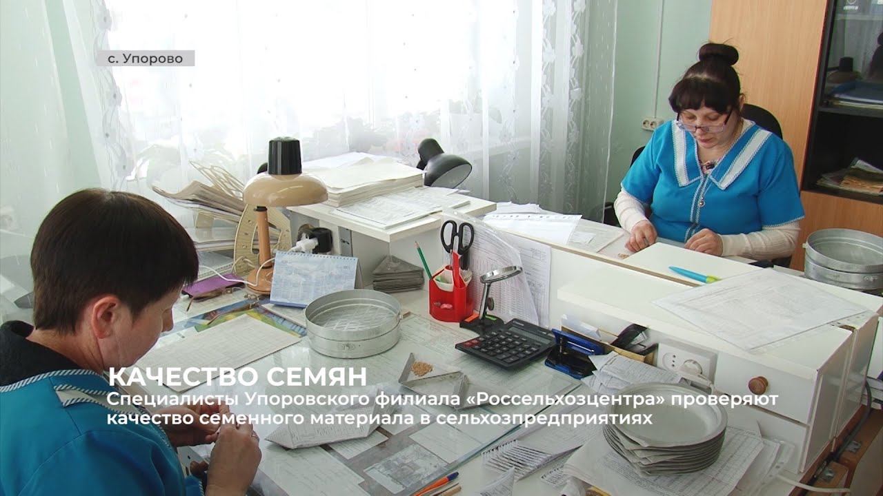 «Россельхозцентр» проверяет качество семенного материала смотреть онлайн