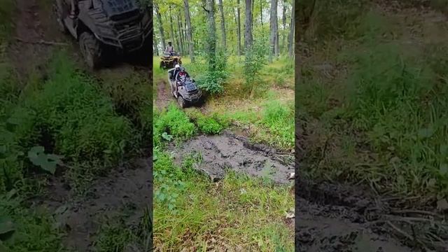 BRP | CF | STELS #квадроциклы #atv #brp смотреть онлайн