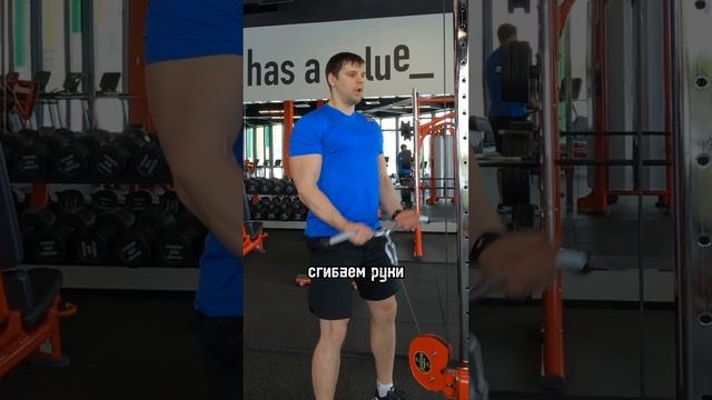 Эффективное упражнение на бицепс! #fitness #фитнес #ягодицы #дляновеньких #бицепс #рукибазуки #масс смотреть онлайн