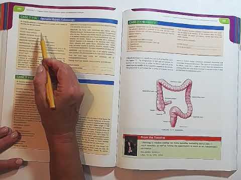 2020 Advanced Digestive Lymph Spleen смотреть онлайн