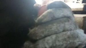 LIFAN SOLANO Замена пыльника внутреннего шруса (гранаты)