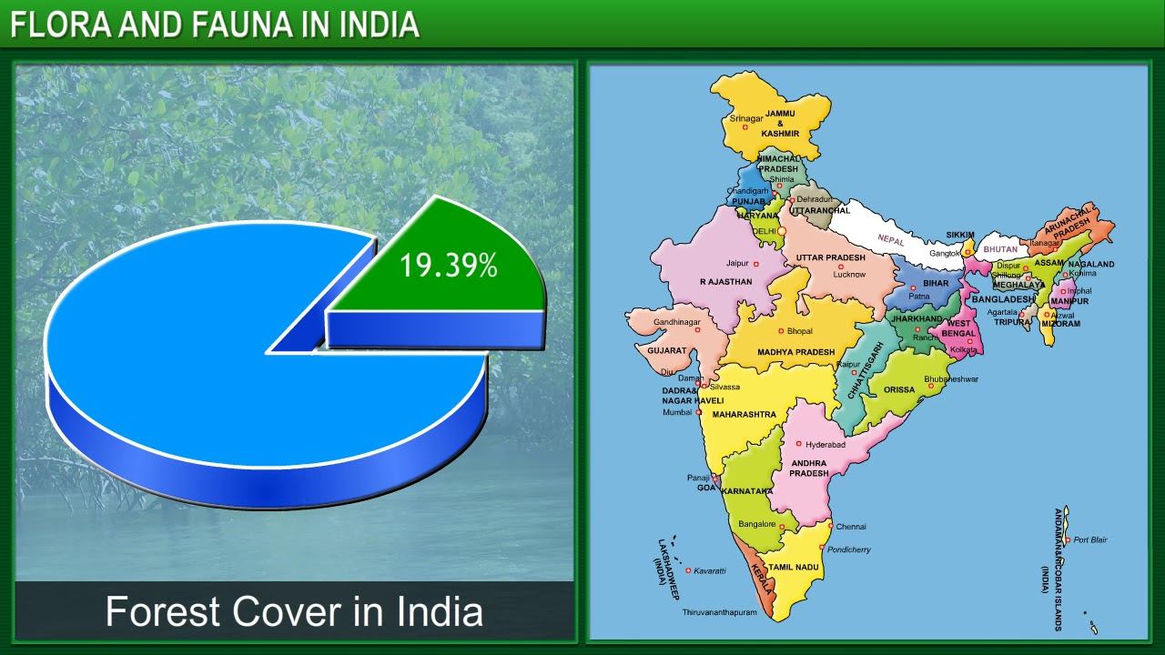 TeachNext | CBSE Grade 10 | Geography | Flora and Fauna In India смотреть онлайн