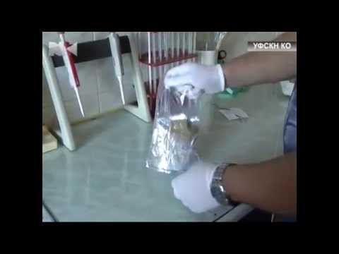 3 кг спайса изъяли в Новокузнецке. NK-TV. 01.09.2014 смотреть онлайн
