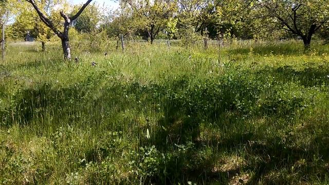 Как работает конвейер куколдов и оленей (осторожно нецензурная лексика) смотреть онлайн