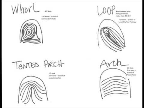 Fingerprint Type Overview: Palmistry With Peggie 2 смотреть онлайн