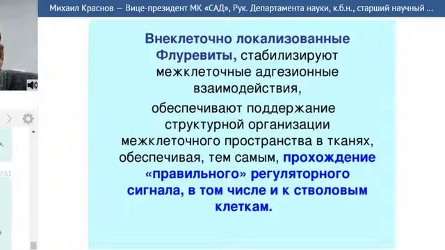 Отличие ФЛУРЕВИТОВ от БАД смотреть онлайн